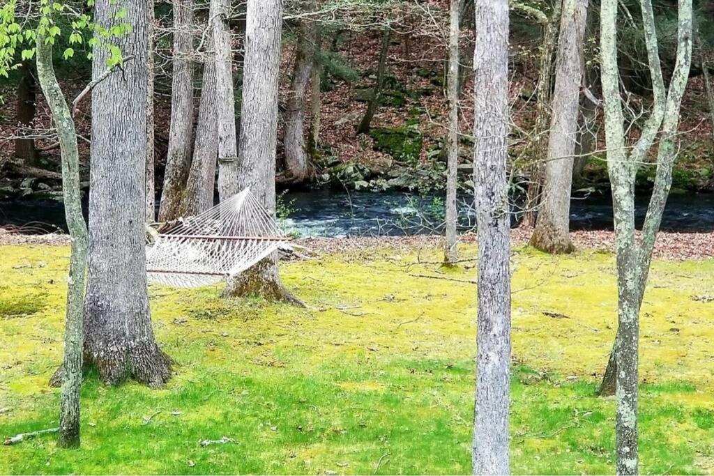 *Amenity-Filled Waterfront Oasis @Saw Creek Estates Near Waterfalls And Hiking* East Stroudsburg Eksteriør bilde