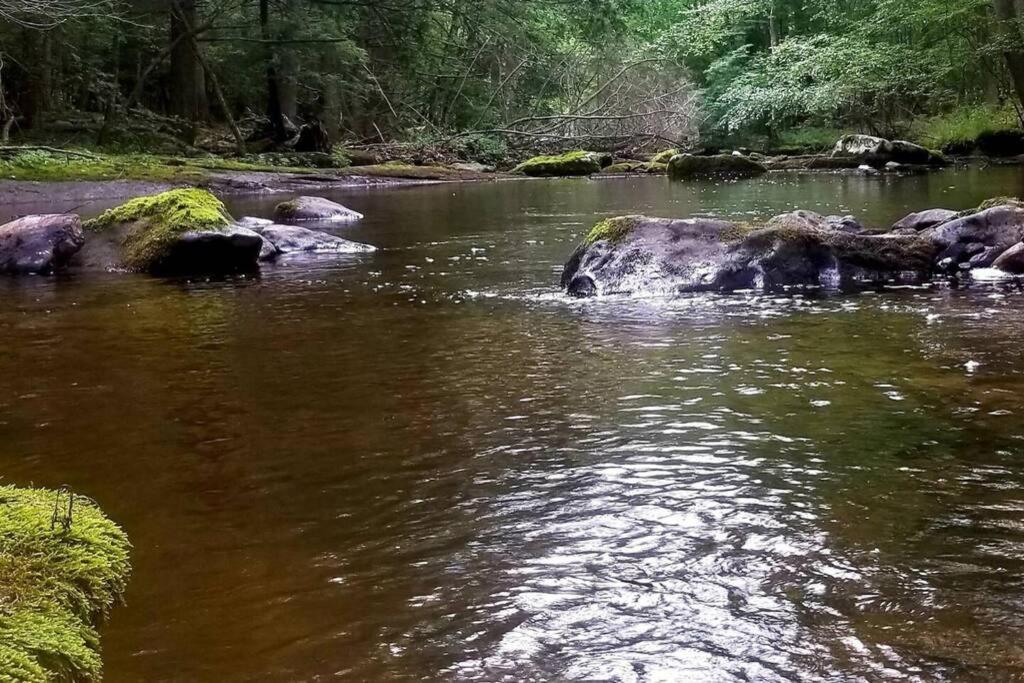 *Amenity-Filled Waterfront Oasis @Saw Creek Estates Near Waterfalls And Hiking* East Stroudsburg Eksteriør bilde