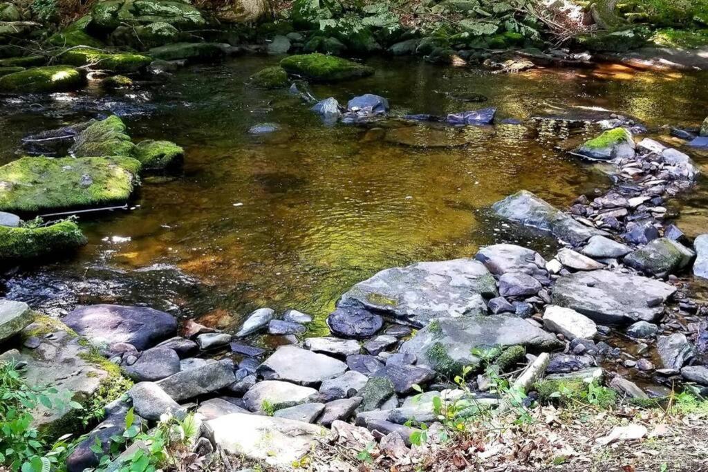 *Amenity-Filled Waterfront Oasis @Saw Creek Estates Near Waterfalls And Hiking* East Stroudsburg Eksteriør bilde
